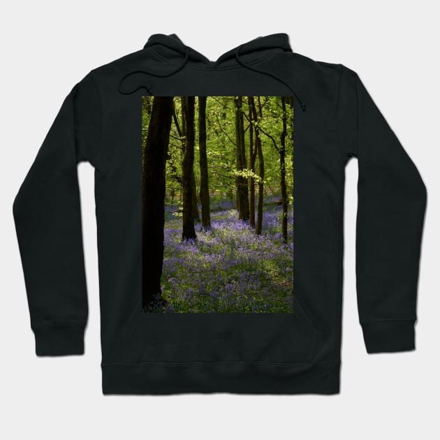 Welsh Spring Hoodie by RJDowns